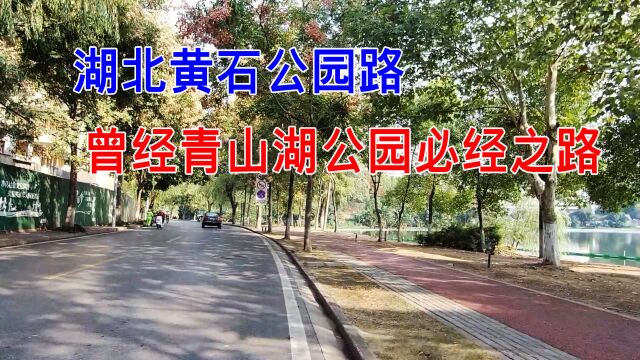 实拍湖北黄石公园路,曾经这里绿树成荫,现在变化很大