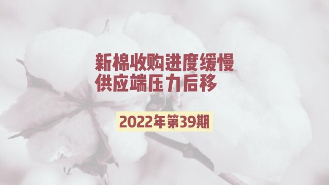 四棉八方(2022年第39期)