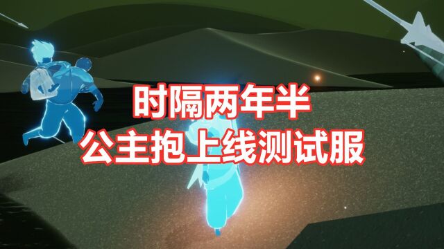 光遇:游戏开服三年,小陈终于做出了公主抱动作