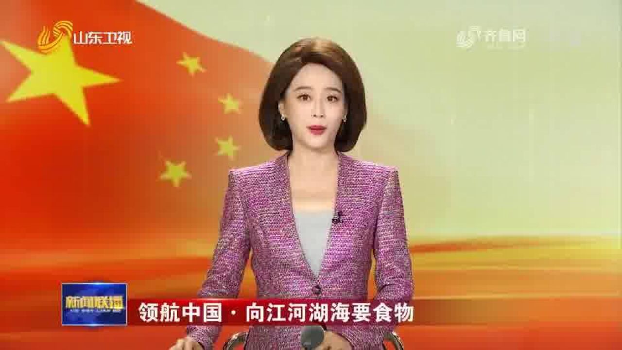 游向深远海的三文鱼【领航中国ⷥ‘江河湖海要食物】