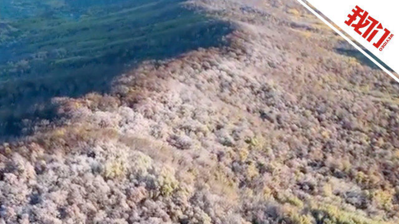 航拍黑龙江饶河县金秋时节现雾凇奇观 山体如披玉甲气势磅礴