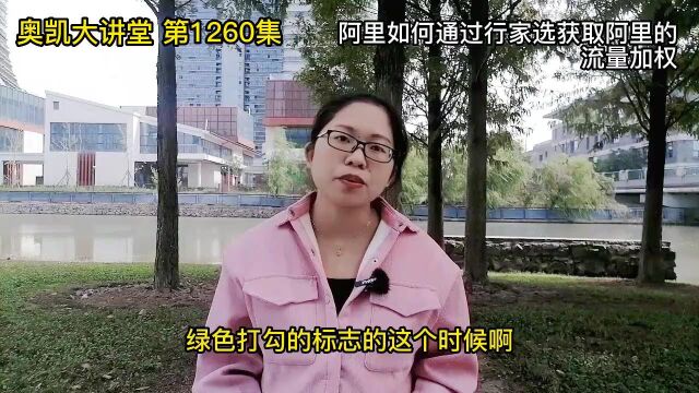 1260 阿里如何通过行家选获取阿里的流量加权