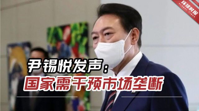 韩国网络瘫痪引垄断争议,尹锡悦发声:国家需要干预市场垄断