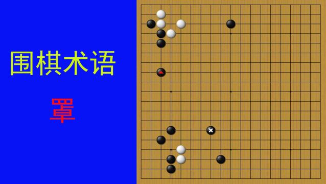 围棋术语罩,是一种宽松的封锁手法,对方棋子可能做活或者逃出