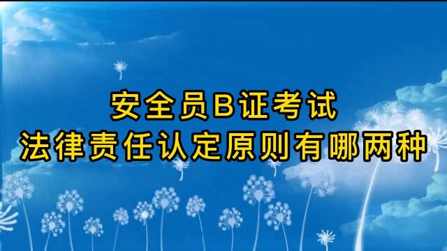 14安全员B证考试,法律责任认定原则有哪两种