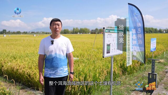 云天化“乡村振兴 大地故事”:肥料+技术,增产又增收