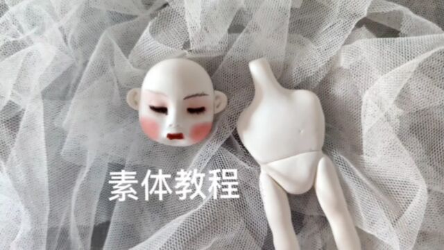 今天是素体教程啦!