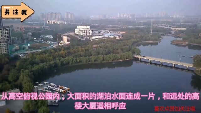 高空航拍:无人机高空俯瞰湿地公园,树木茂密景色如画