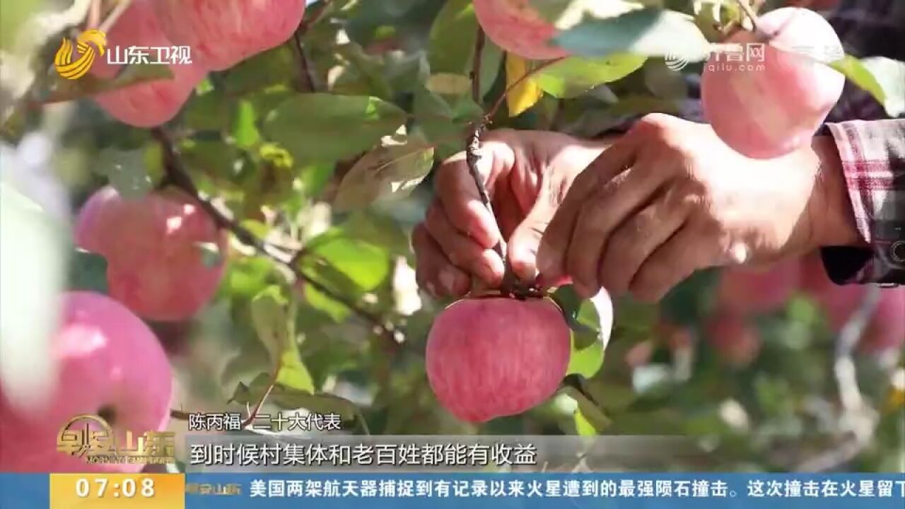 陈丙福:扎根基层,以产业振兴带动乡村振兴