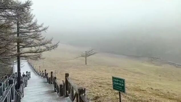 石家庄下雪啦!明起,大风、降温将陆续到河北