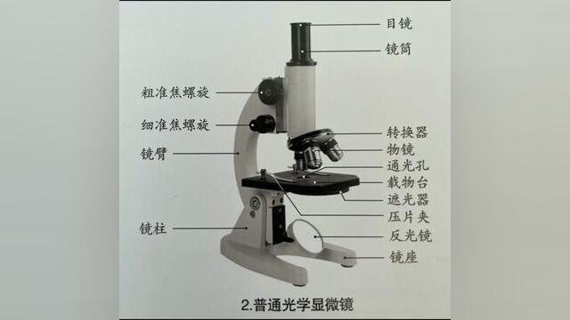 初二的孩子们,这些图你们都会了吗,都是老师经常出现的#父母必看系列 #初中生物七年级上册 #初中生物七年级上册