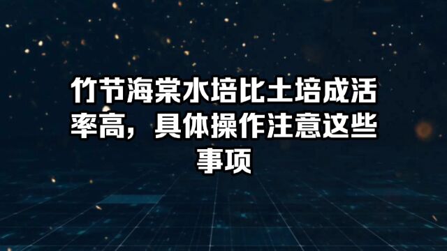 竹节海棠水培比土培成活率高,具体操作注意这些事项