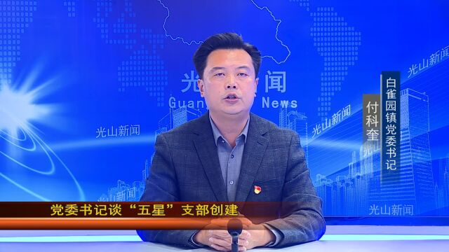 【党委书记谈“五星”支部创建】火车站管委会党工委书记 白雀园镇党委书记