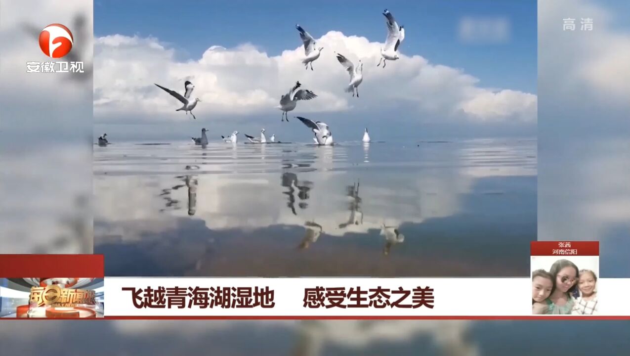 壮观!飞越青海湖湿地,感受生态之美