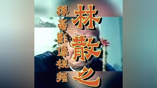 林散之挥毫影像视频 #名家书画 #传统文化 #人物故事 #林散之