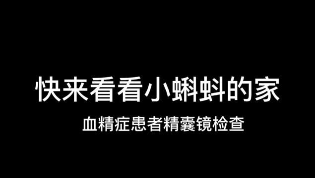 今日分享血精症患者精囊镜检查过程,一起来了解精囊吧#医学科普 #血精