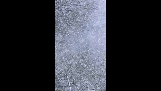 雪花飘飘北风潇潇