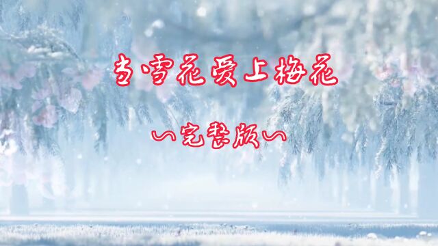 我是一片雪花,你是一朵梅花,当雪花爱上梅花,诉说美好爱情故事