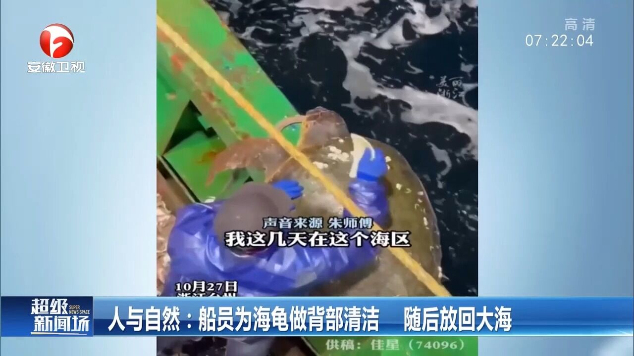 浙江台州:船员为海龟做背部清洁,随后放回大海