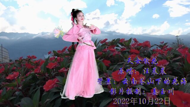 黄梅戏曲《天女散花》原唱汪晨晨(影片制作:姜玉川)