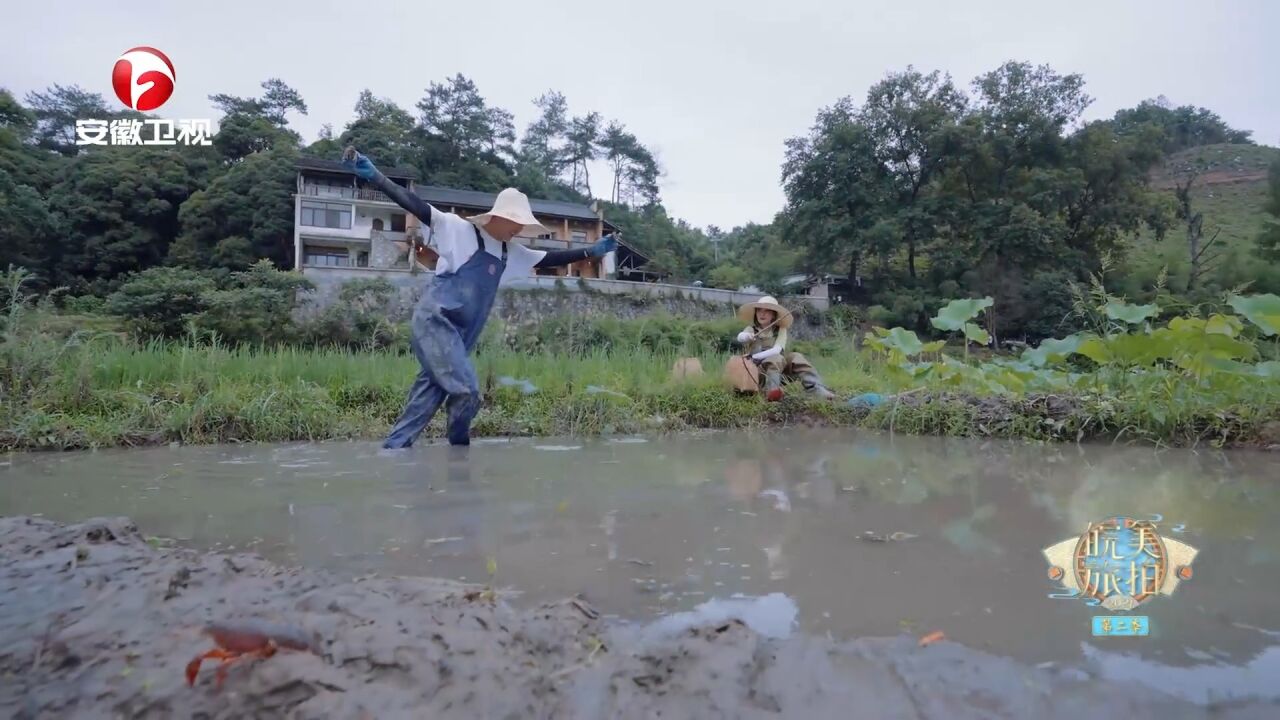 张亚群下厨做饭,爆炒小龙虾看着真香,流口水了都|皖美旅拍