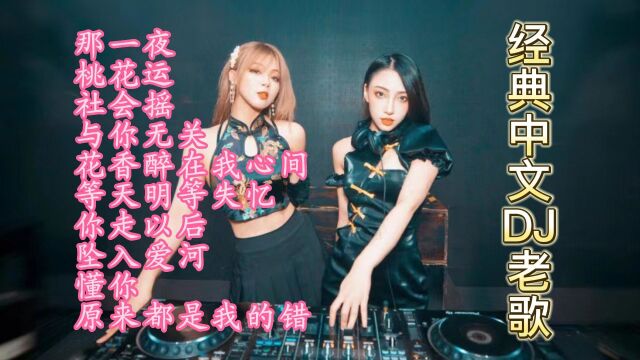 经典中文DJ老歌《那一夜》十首联播,首首经典,百听不厌,高音质