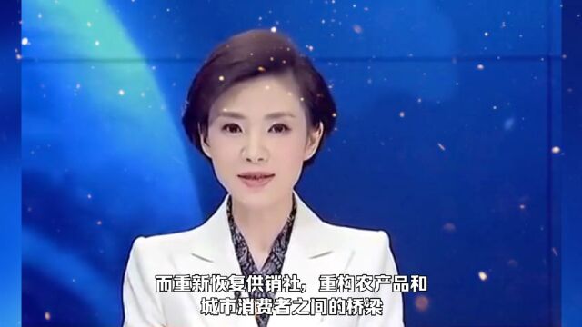 供销社的历史变迁之八:供销社”回来了,能给普通人带来什么机会呢?