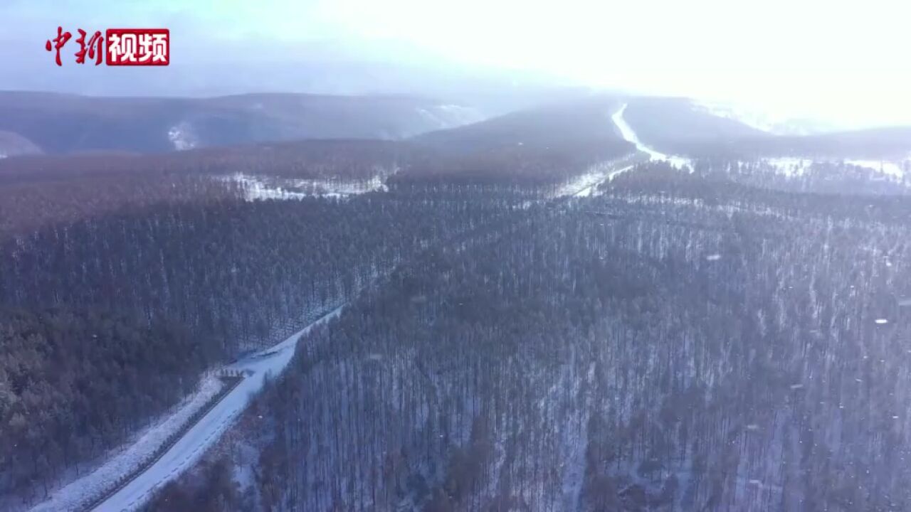 河北承德:塞罕坝迎来降雪变“林海雪原”