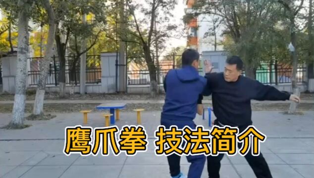 鹰爪拳技法简介