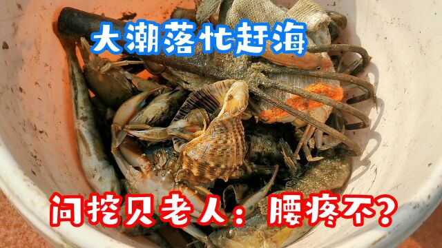 日照农历十五退大潮,赶海大军布满海滩,老人不惜身体挖到爆桶