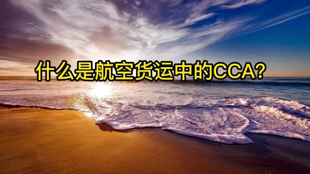 什么是航空货运中的CCA? #跨境物流beta #国际物流 #国际空运