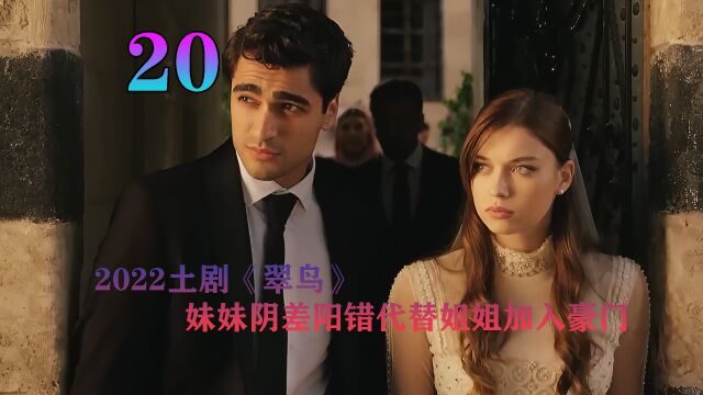 翠鸟20妹妹取代姐姐嫁入豪门,姐姐却觉得不甘心 #土剧推荐 #土剧翠鸟 #好剧推荐