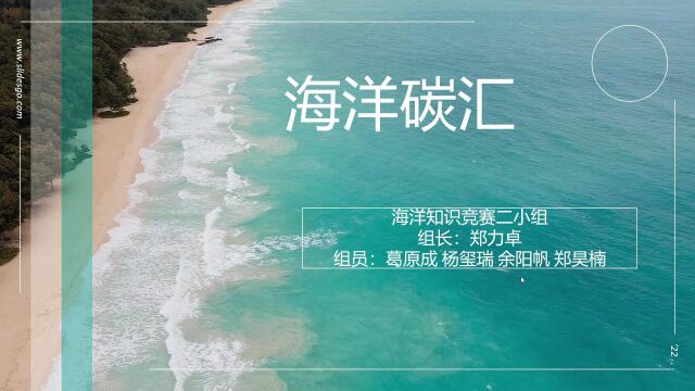 海洋知识科普第二组—海洋碳汇