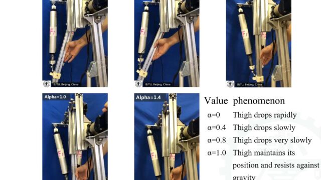 THMS benchmark experiments