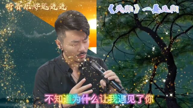 一首有故事的歌《天际》送给你,祝刷到视频的你天天开心,好运常伴左右.