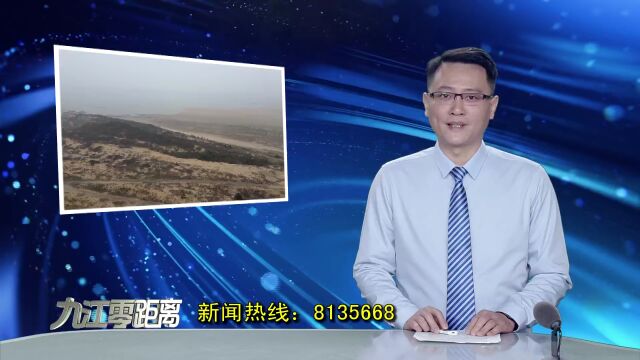 都昌:32000亩蔓荆子 为沙山添绿为群众增收