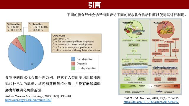 iMeta | 中国农大杨栋组揭示膳食纤维化学结构对肠道微生物的调控