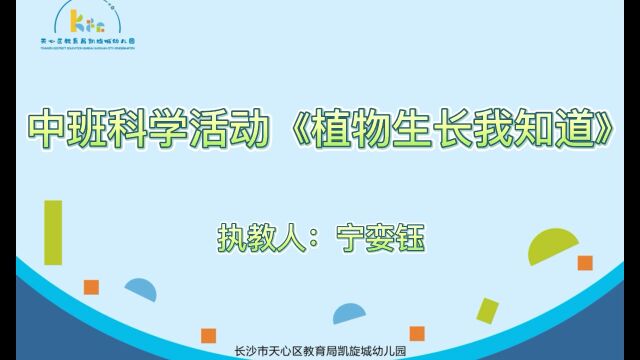 中班科学活动《植物生长我知道》