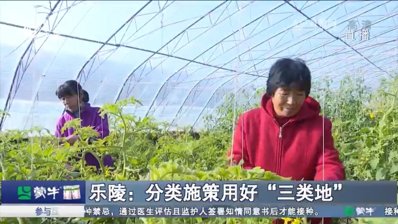 乐陵:盘活农村“三类地”,强村富民兴产业,激活乡村振兴新活力