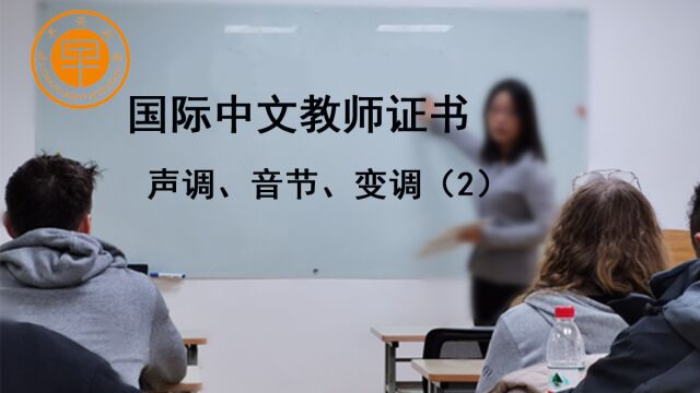 教外国人学中文课程笔试考试声调音节变调2