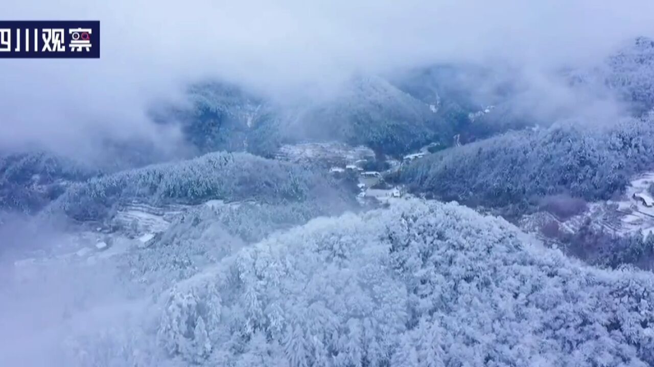 航拍丨曾家山“童话森林”上线