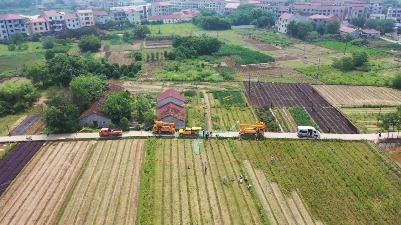 瞰中国|浙江兰溪:电力助农迎丰收 畲乡结出“致富花”