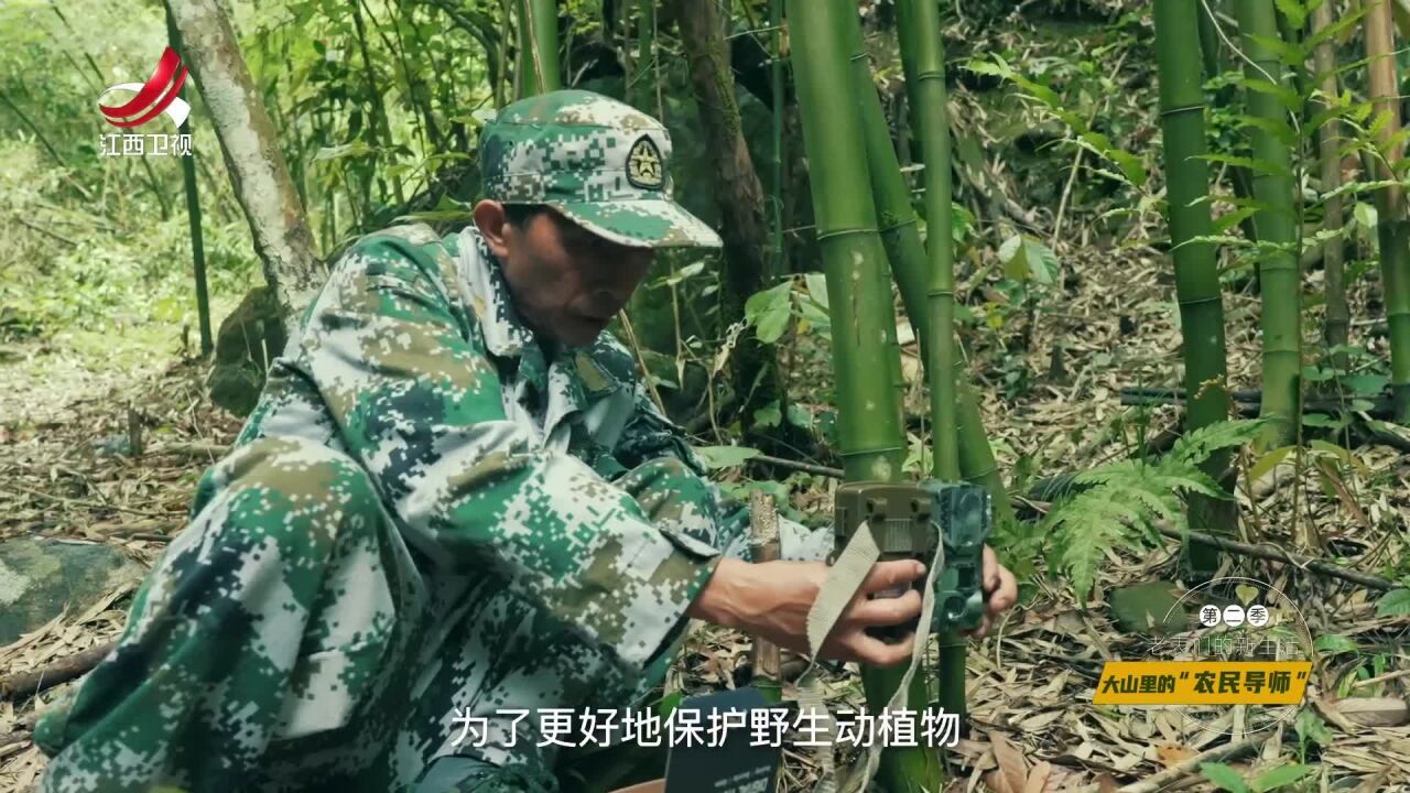 每天沉浸在森林课堂,五年下来,他成了行走的九岭山生态物种“百科全书”