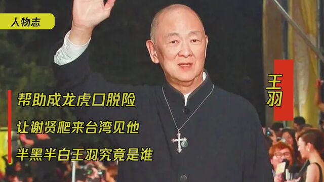 王羽:帮助成龙虎口脱险,让谢贤爬来台湾见他,半黑半白王羽究竟是谁?