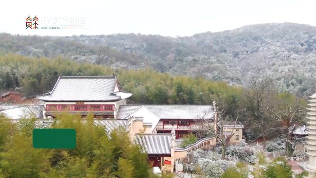 诗情画意!江苏宝华山腊梅茶花映雪开