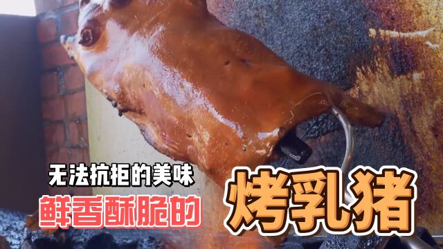 第15集丨港式风味烤乳猪,猪皮香脆诱人,猪肉更是鲜嫩多汁