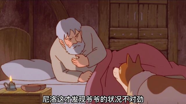 尝尽了人间疾苦,还要拼命留下温柔.《上集》