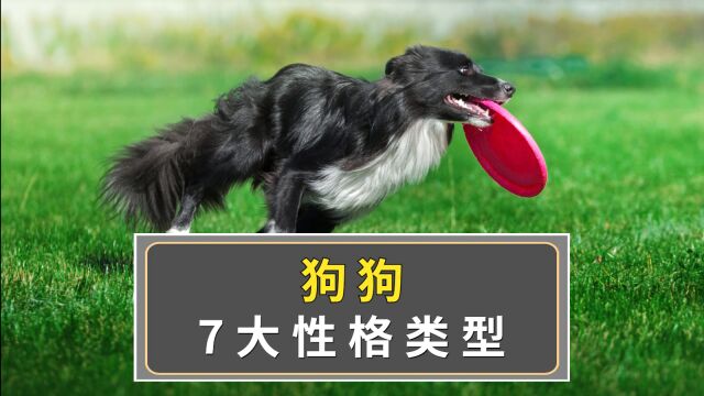 狗狗的七大性格类型