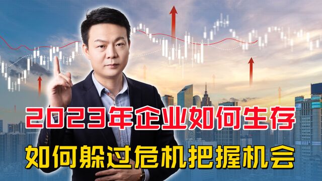 2023年经济会如何发展?4个大类别企业,3个衰退1个发展正当时