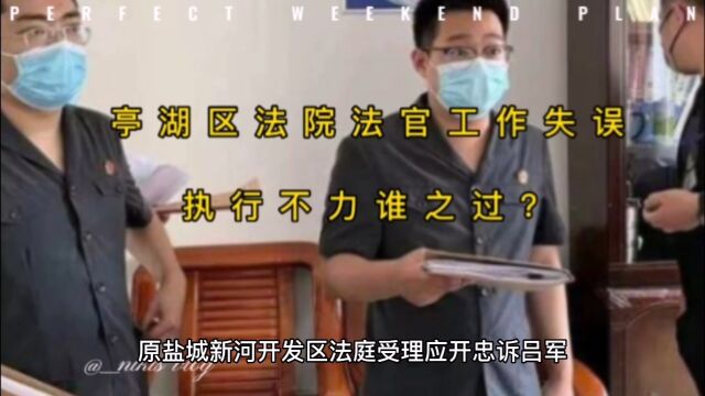 亭湖区法院工作人员失职造成原告损法院承担责任吗?